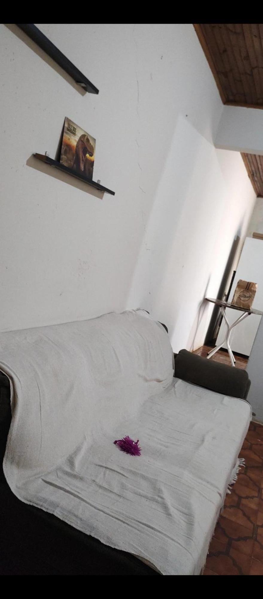 Pe De Pitanga - Unica Casa Arborizada Do Quarteirao Com Arvores Frutiferas Maringá Extérieur photo